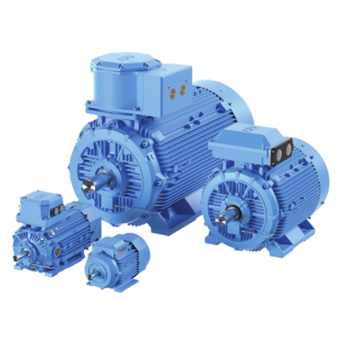 Explosion Proof Motor